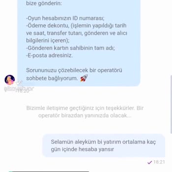 1win Yaklaşık 1 Aydır Yatırımım Siteye Yansımadı!