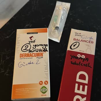 Kedim İçin Aldığım Mama Sağlık Sorunlarına Yol Açtı!