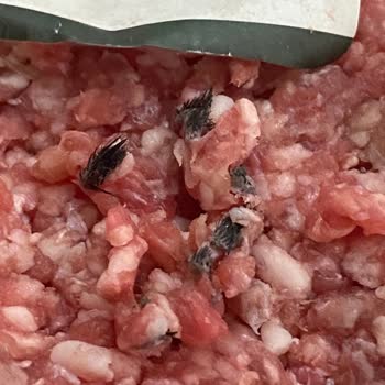 Dana Kıymada Şok Edici Buluntu: Hayvan Kılı