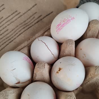 Migros Sanal Market'te Kalite Sorunları Ve İletişim Eksikliği