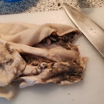 Migros Sanal Market'te Kalite Sorunları Ve İletişim Eksikliği