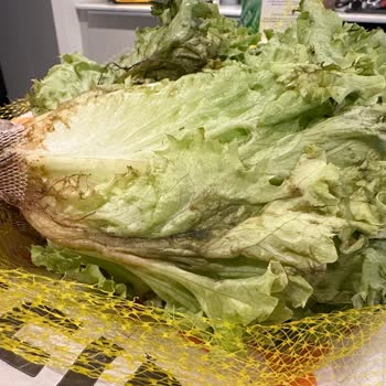 Migros Çürük Ürün Şoku: Satışta Olan Yenilemez Gıda