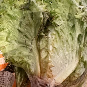 Migros Çürük Ürün Şoku: Satışta Olan Yenilemez Gıda