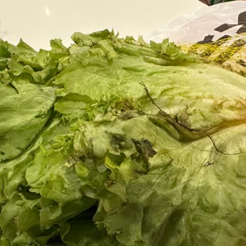 Migros Çürük Ürün Şoku: Satışta Olan Yenilemez Gıda