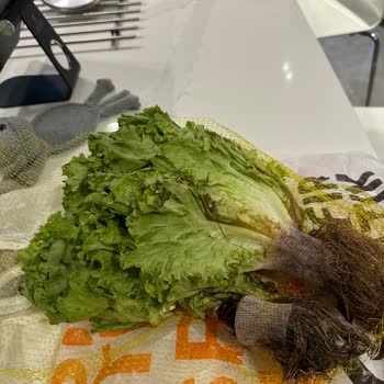 Migros Çürük Ürün Şoku: Satışta Olan Yenilemez Gıda