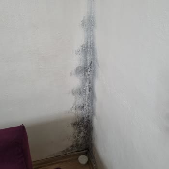 İade Sürecinde Karşılaşılan Engeller