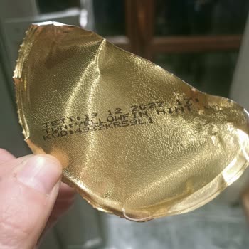 Dardanel Ton Balığı: Sağlık Tehdidi Ve Şok Edici Deneyim