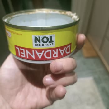 Dardanel Ton Balığı: Sağlık Tehdidi Ve Şok Edici Deneyim