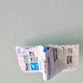 Boehringer Ingelheim İlaç Nexgard İç Dış Parazit Hapı Şikayeti