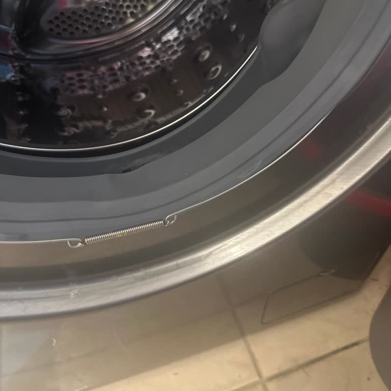 LG Çamaşır Makinesi Hayal Kırıklığı: Körük Teli Sorunu