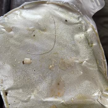 Burcu Gıda Yaprak Sarmasında Hijyen Sorunu