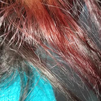 Beklenen Mor, Gelen Kızıl: Saç Boyası Hayal Kırıklığı