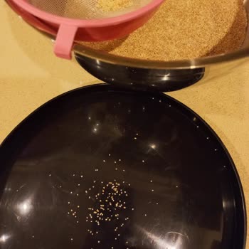 Ekmekteki Yabancı Maddeler: Piyale Unu Güvenilir Mi