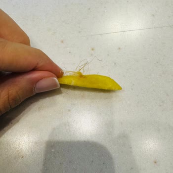 McDonald's'ta Patates Krizi: Aile Yemeği Kabusa Döndü