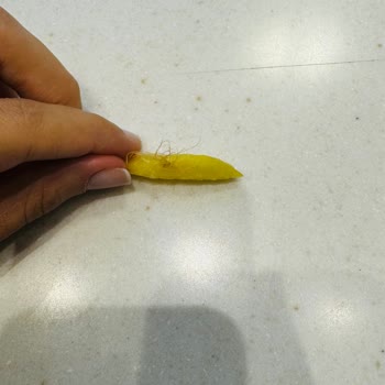 McDonald's'ta Patates Krizi: Aile Yemeği Kabusa Döndü