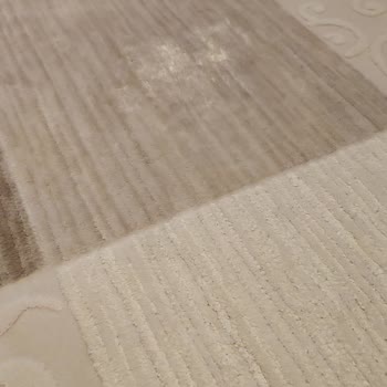 Buharlı Temizleyici Koltuğumu Ve Halımı Yaktı!