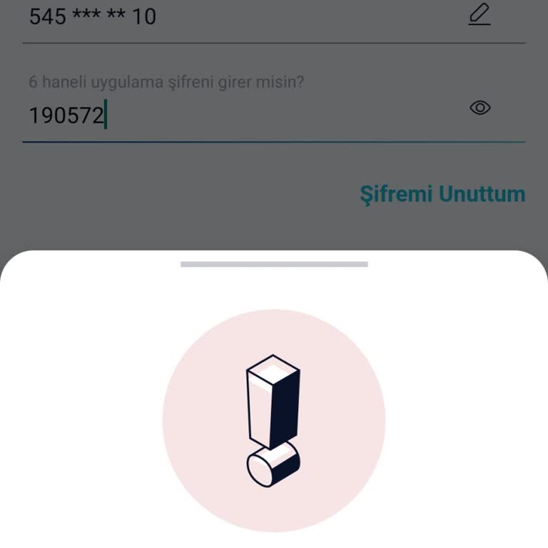Paycell Giriş Sorunu: Şifre Döngüsü