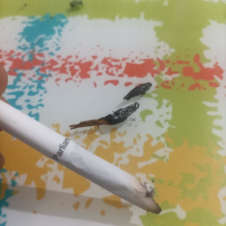 Parliament Night Blue: Kalite Düşüşü Ve Odun Parçaları