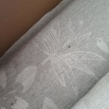 Yatak Örtüsünde Beklenmedik Sorun