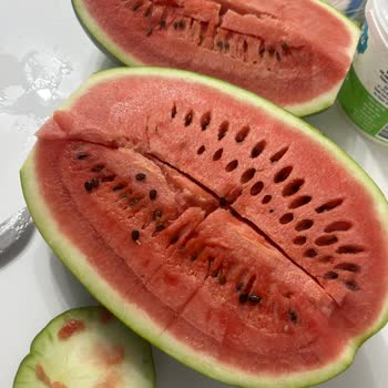 Mevsim Dışı Karpuzun Hayal Kırıklığı