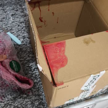 Kırılan Ürün Ve Yetersiz Destek