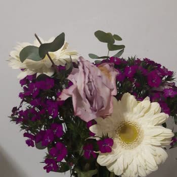 Çiçek Sepeti'nde Hayal Kırıklığı: Sipariş Ve Hizmet Sorunları