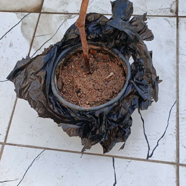 Yanıltıcı Ürün Gönderimi Ve Müşteri Mağduriyeti