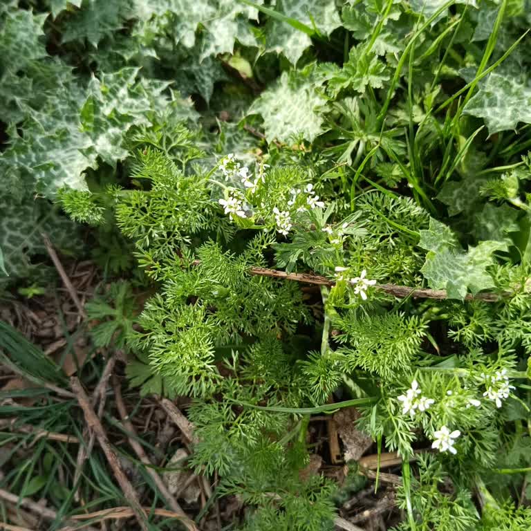Ziraat Bankası'nda Müşteri Temsilcisi Krizi