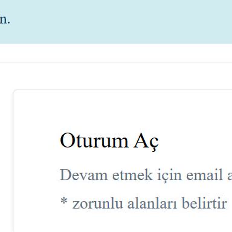 Vize İşlemlerinde Yaşanan Erişim Sorunları
