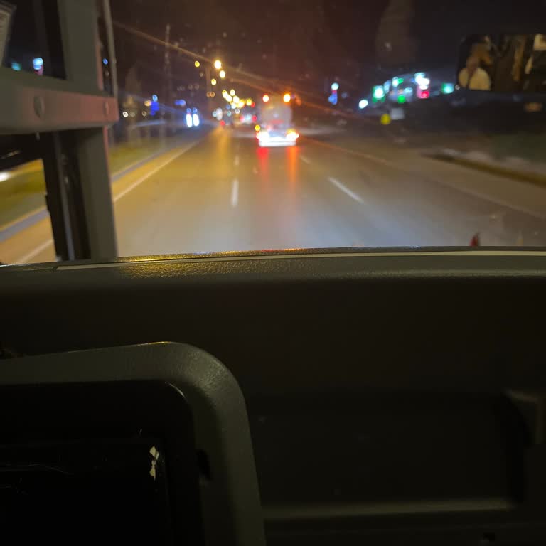 Sahil Seyahat Direksiyonda Boşluk Ve Acemi Şoförle Tehlikeli Yolculuk
