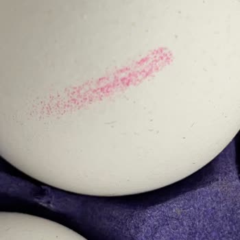 Burak Aydın Yumurtalarda Seri Numara Yok