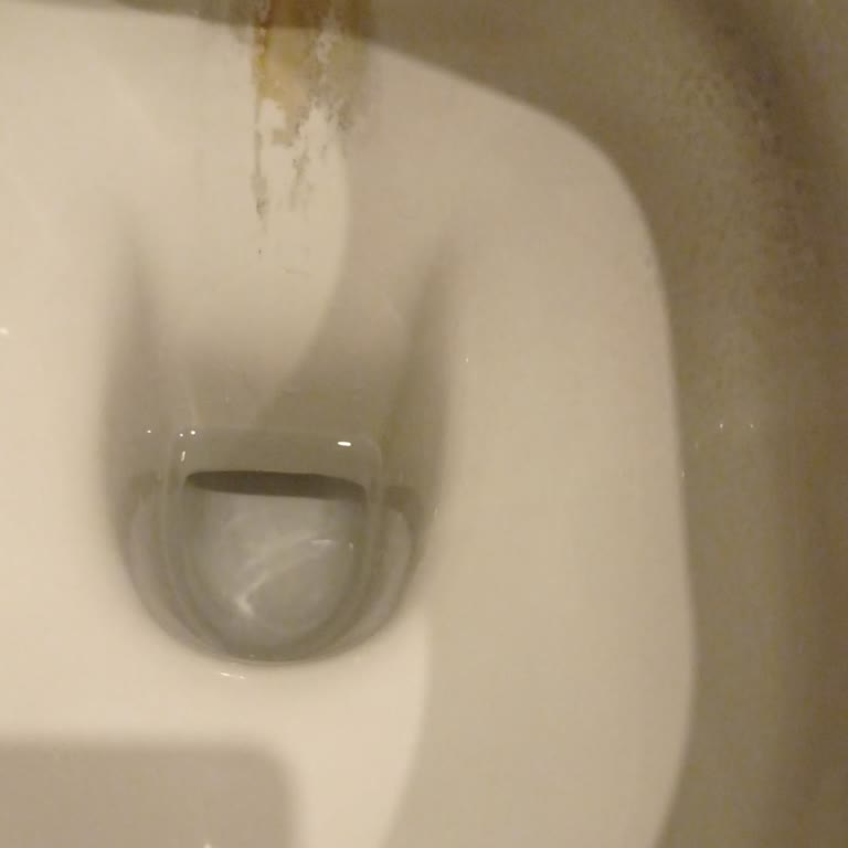 Vitra Hygiene Klozetin Kararma Sorunu