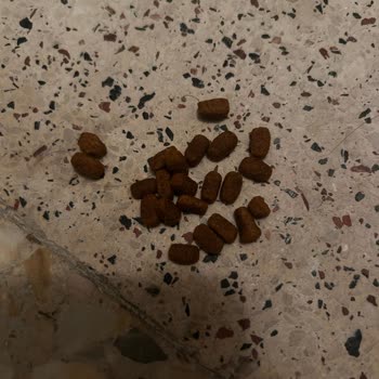 Trendyol Let a Seller Change Name and Avoid Responsibility for Fake Cat Food