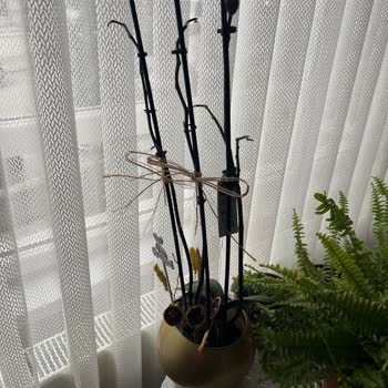 Hastalıklı Orkide: Çiçek Sepeti'nden Hayal Kırıklığı