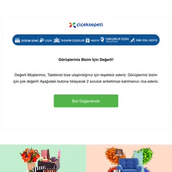 Hastalıklı Orkide: Çiçek Sepeti'nden Hayal Kırıklığı