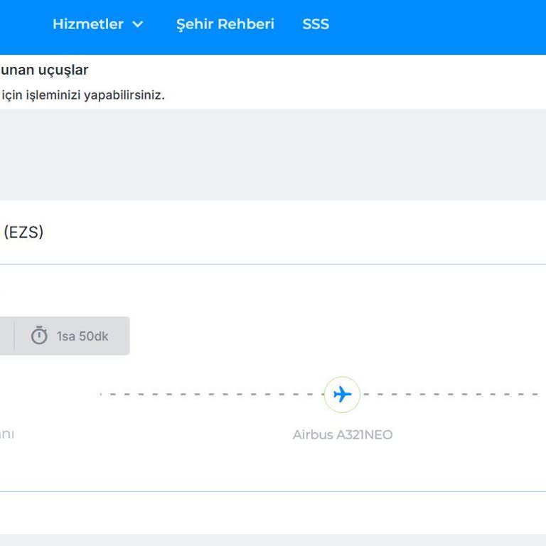 Online Check-in Kabusu Ve İlgisiz Müşteri Hizmetleri