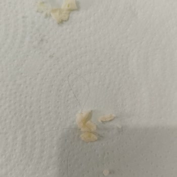 Has Tulum Peynirinden Kıl Çıktı!