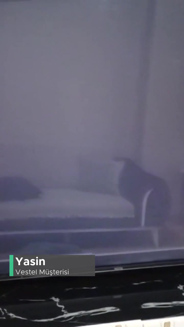 Vestel 65QG9840 65'' 164 Ekran 4K Smart QLED Google TV Arızası videonun kapak resmi