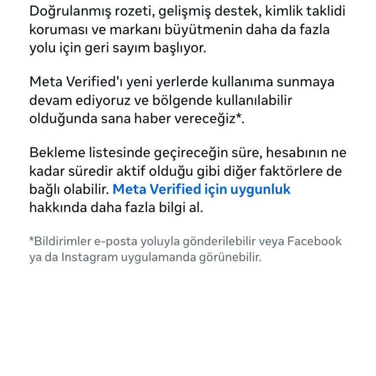 Instagram Mavi Tik İçin Bekleyiş: Profil Doğrulama Sorunu