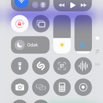Numara Taşıma Sonrası Servis Yok Sorunu