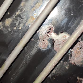 Arçelik Fırında Kısa Sürede Paslanma Ve Delik Sorunu