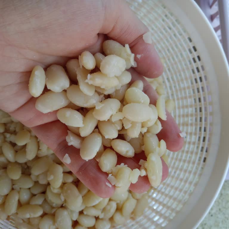 Kuru Fasulyede Hayal Kırıklığı: Dağılma Ve Köpük Sorunu