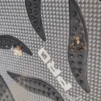 Amazon'dan Gelen Şaşırtıcı Paket