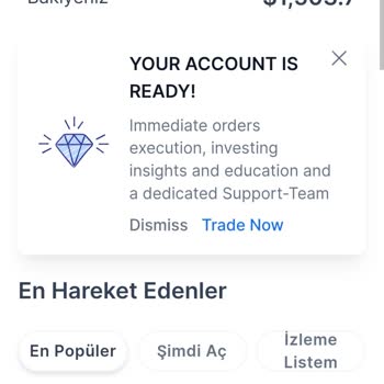 Ice Global Şirketi Tarafından Mağdur Edilen Yatırımcılar