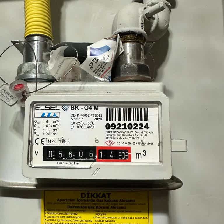 Palgaz Doğalgaz Aboneliği: Uzayan Bekleyiş Ve İletişim Sorunları