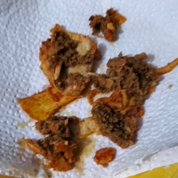 Dönerde Şaşırtıcı Yabancı Madde