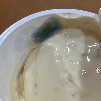 Sek Quark Yoğurt Küflenme Sorunu