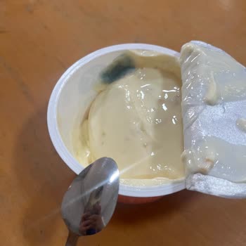 Sek Quark Yoğurt Küflenme Sorunu