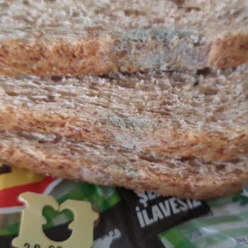Küflü Ekmek Ve Yetersiz Müşteri Hizmeti