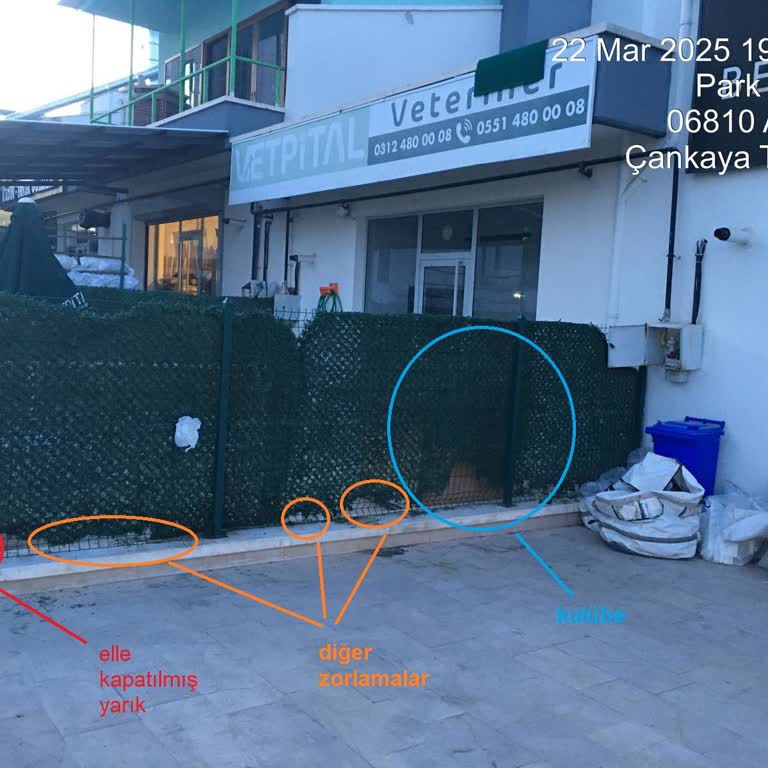 Vetpital Veteriner Kliniği Ankara Sorun Yaşama